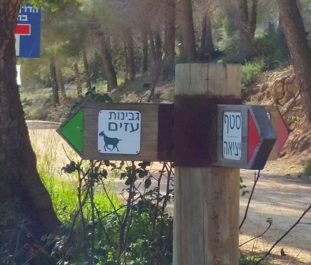 quesos en Israel