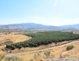 Vista desde el Parque Nacional Tel Hazor